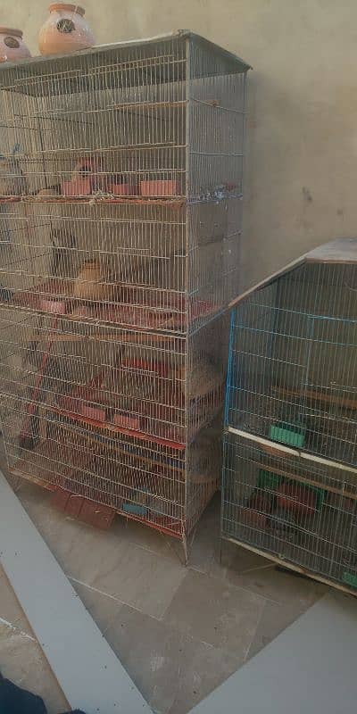 birds cages 2