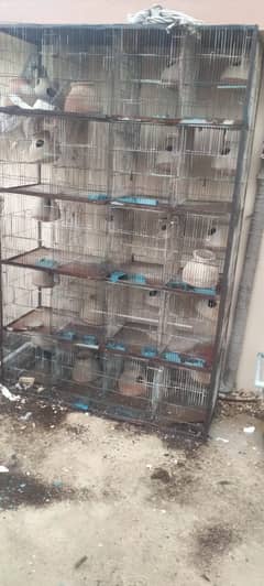 i am selling my hen cage