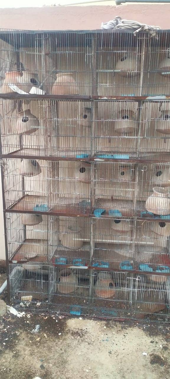 i am selling my hen cage 1