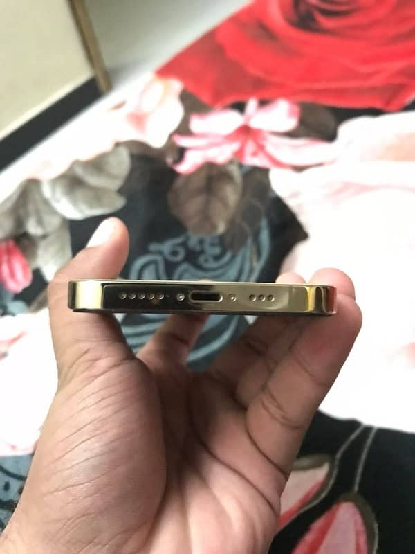 Iphone 12 Pro 256gb Gold Pta Approved 1