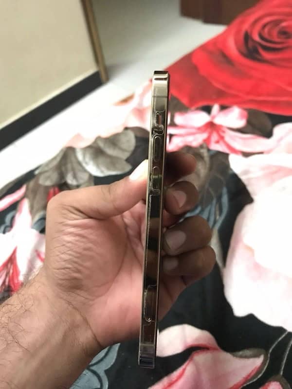 Iphone 12 Pro 256gb Gold Pta Approved 2