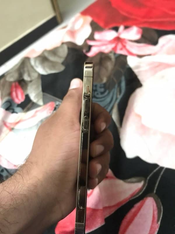 Iphone 12 Pro 256gb Gold Pta Approved 4