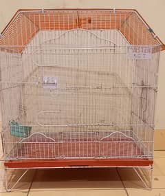 Birds Cage