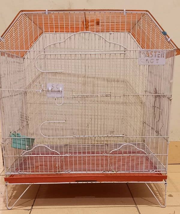 Birds Cage 0