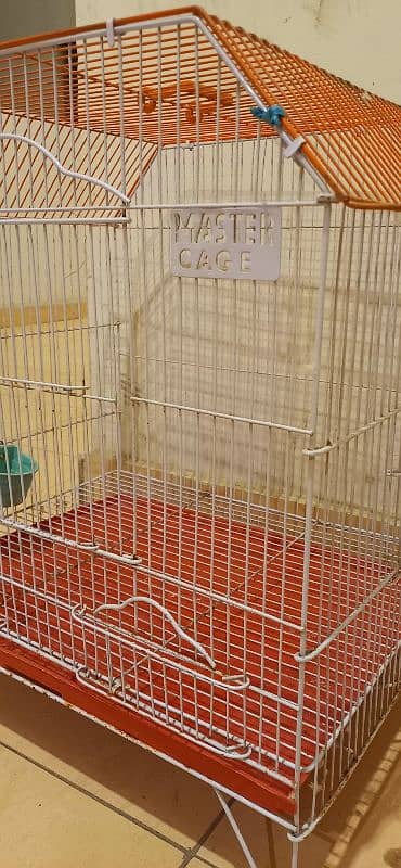 Birds Cage 1