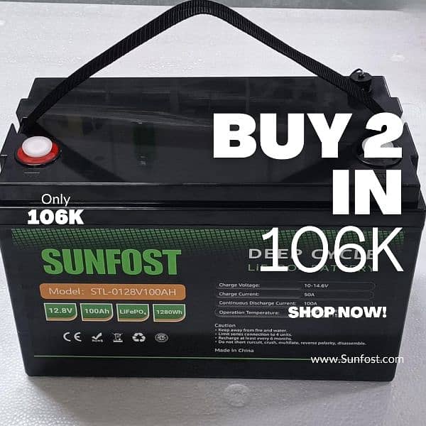 Sunfost  Lithium 12.8v100ah Solar/Ups Battery And Homage inverter 1