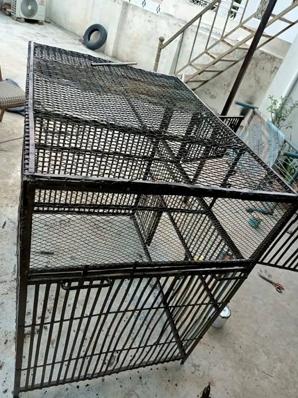 Iron Cage for Animals 2