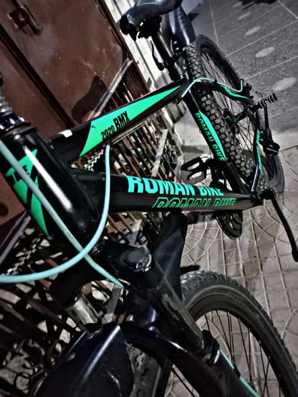 Roman bike imported Mountain bike 1