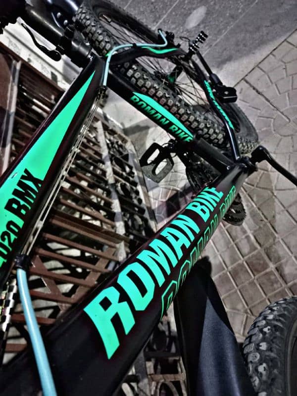 Roman bike imported Mountain bike 2