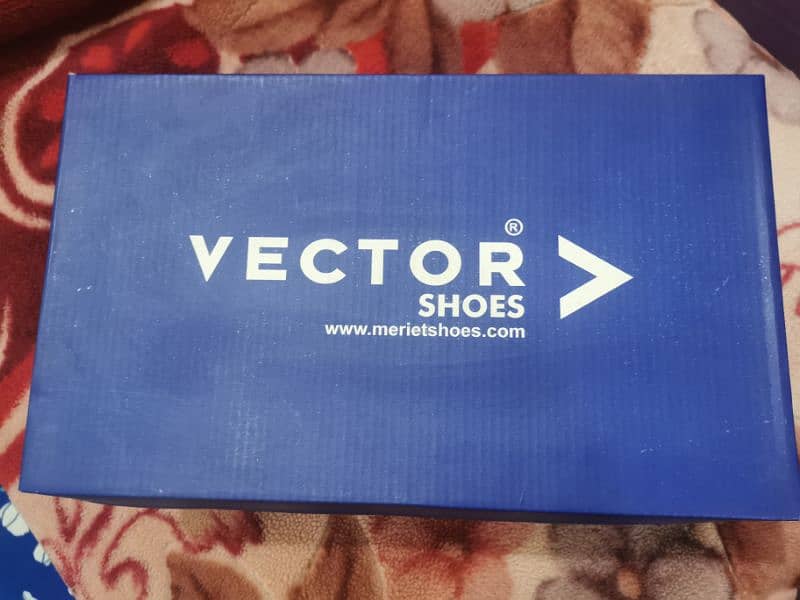 vector shoes 0