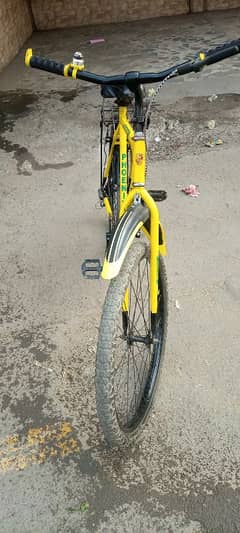 For sale phoenix cycle 10by10 new condition ma ha