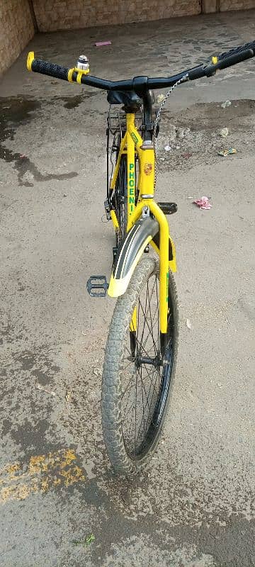 For sale phoenix cycle 10by10 new condition ma ha 0