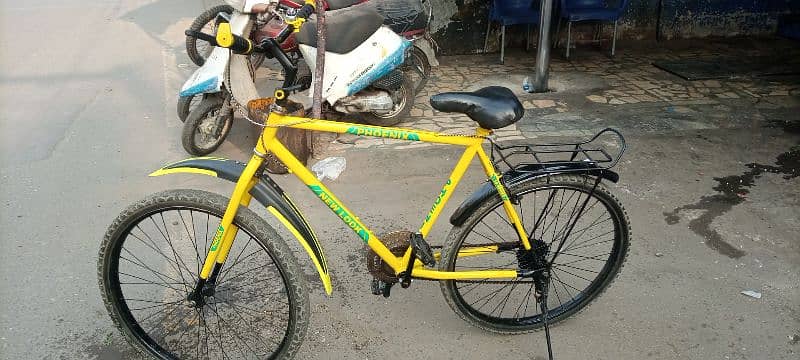 For sale phoenix cycle 10by10 new condition ma ha 1