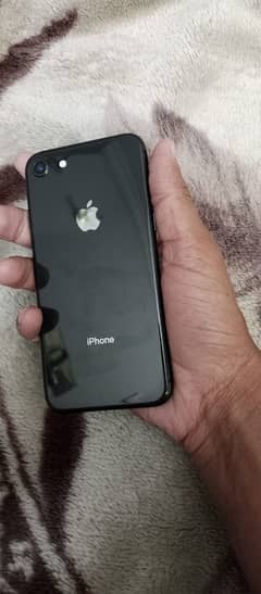 iPhone 8 PTA approved