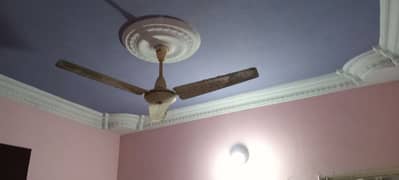 fan for sale