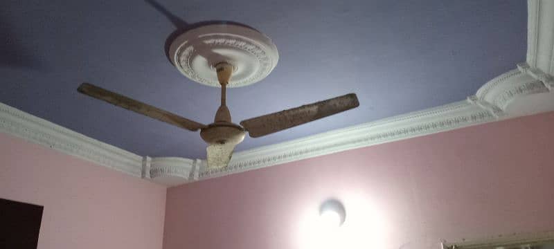 fan for sale 0