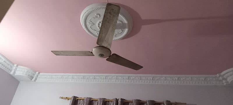 fan for sale 1