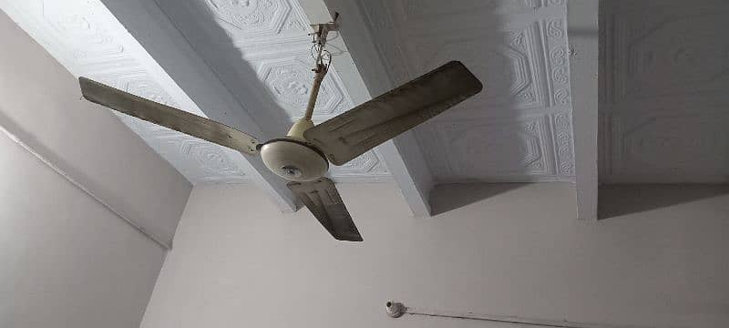 fan for sale 2