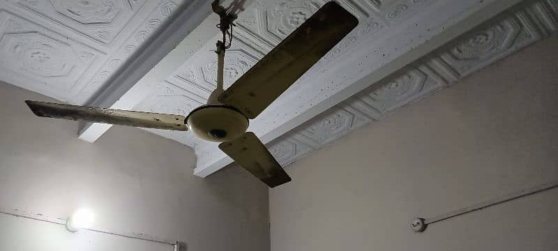 fan for sale 3