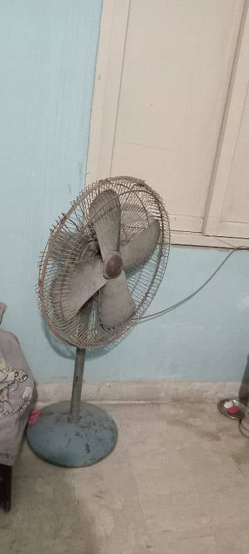 fan for sale 4