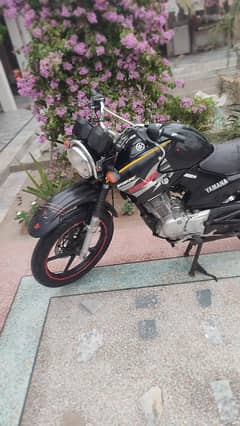 YAMAHA