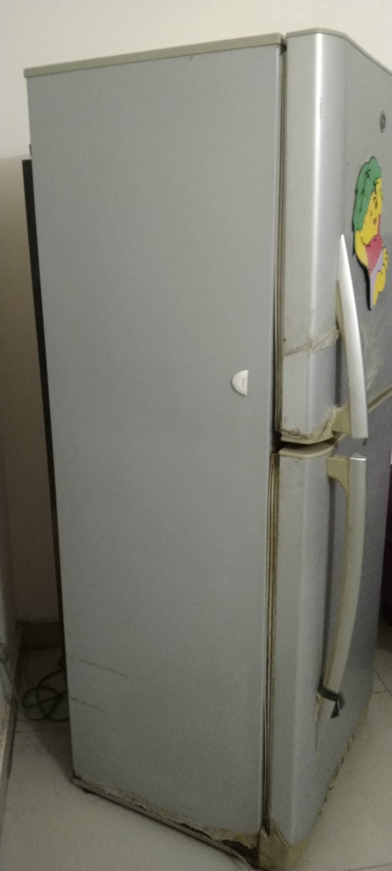 Pell Jumbo Size Fridge 1