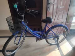 *Sweetai Bicycle*