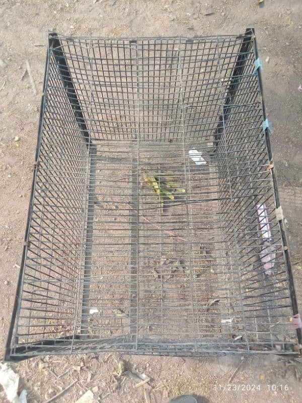 CAGE FOR SALE 1