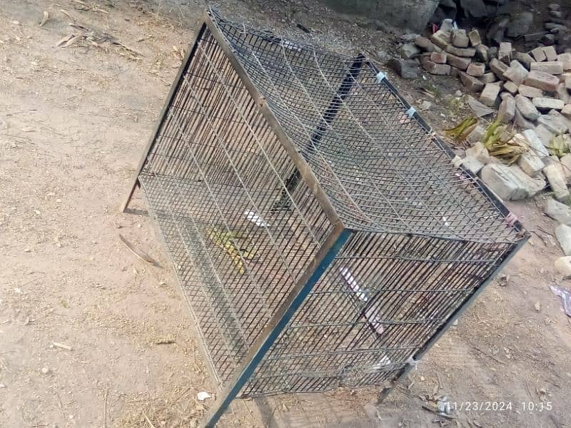 CAGE FOR SALE 3