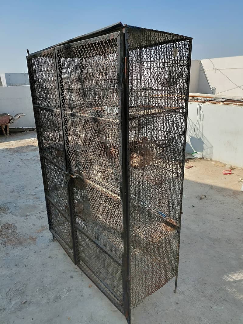 12 portions cage with safety welded iron jali door 1