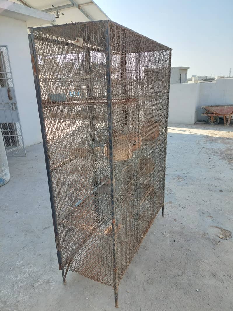 12 portions cage with safety welded iron jali door 2