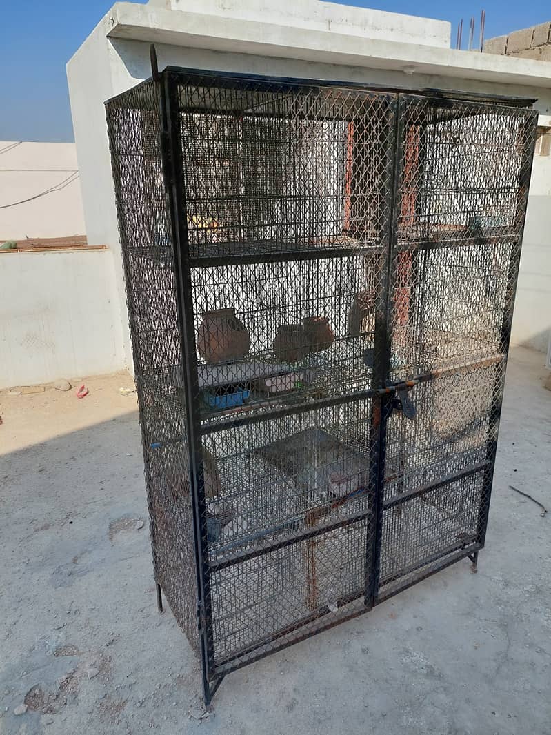 12 portions cage with safety welded iron jali door 4