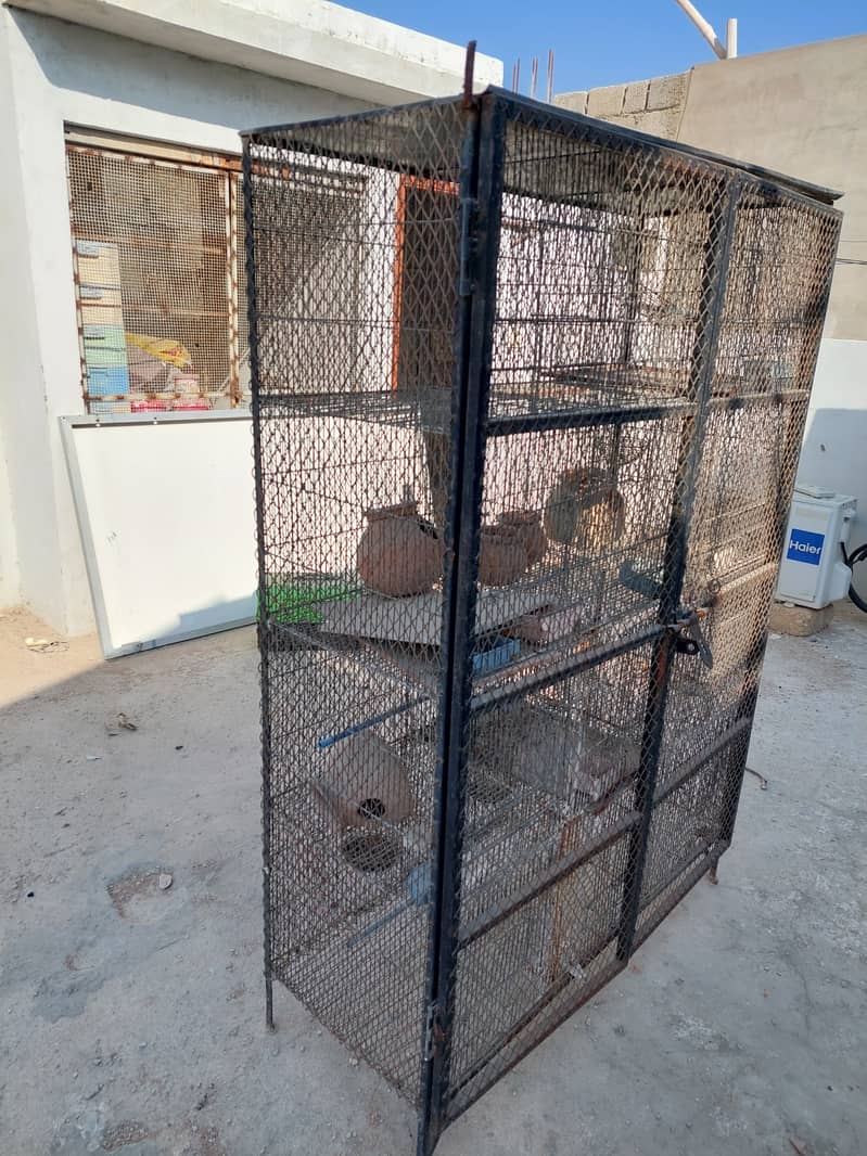 12 portions cage with safety welded iron jali door 5