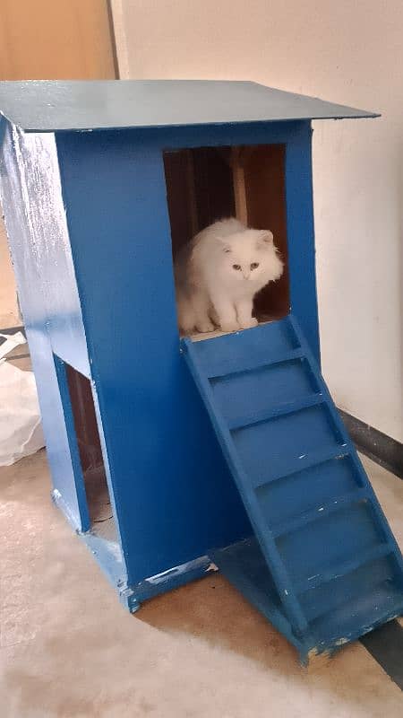 cat house urgent for sale 0