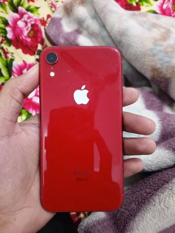 iPhone Xr 0