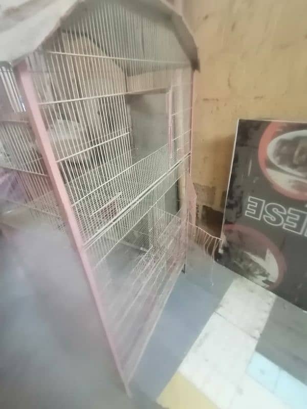 birds cage 3