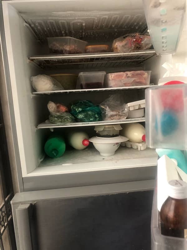 Pel Refrigerator For Sale 0