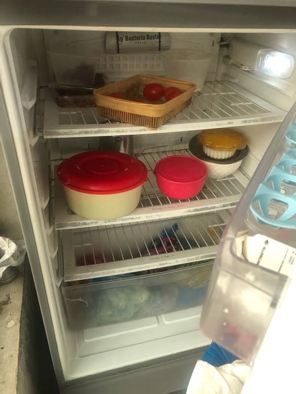 Pel Refrigerator For Sale 1