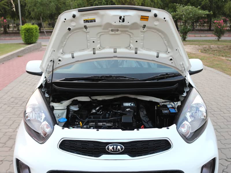 KIA Picanto 1.0 AT 2023/2024 (B2B) 9