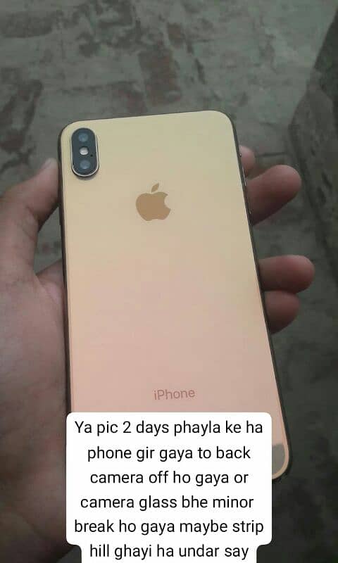 Iphone XS Max 256 gb Non pta exchange possible 7