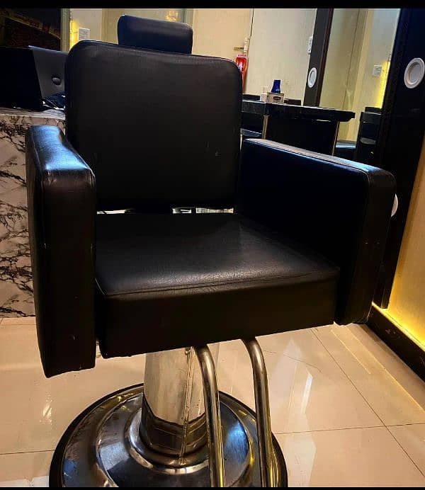 Modern Salon chair 0