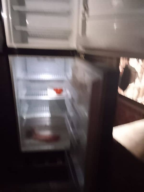 pel fridge 0