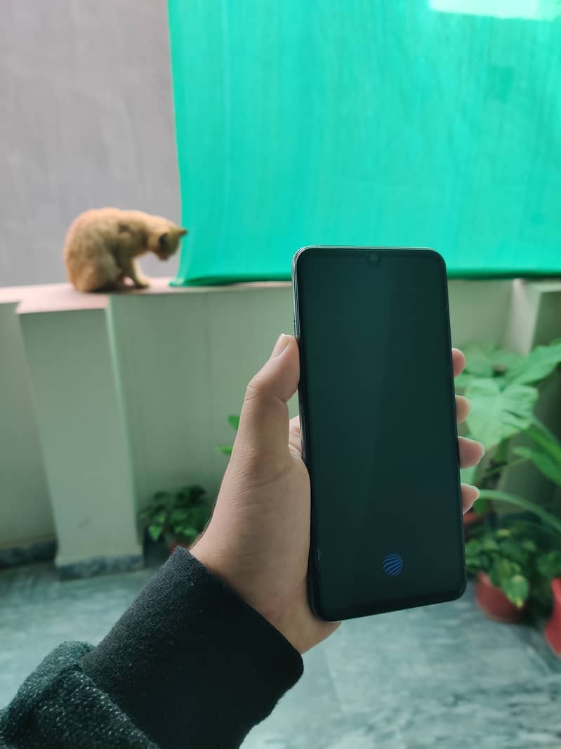 Vivo v21e lush condition 2