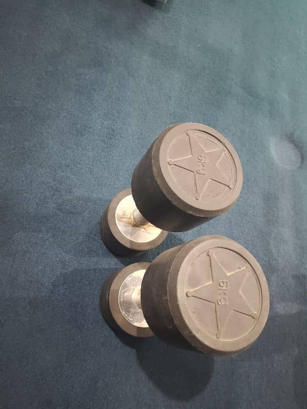 2 Dumbbells Set 1