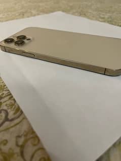 iphone 12 pro max 256gb