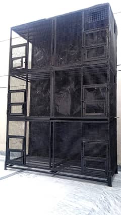 Big cage for ringneck rawparrot hens