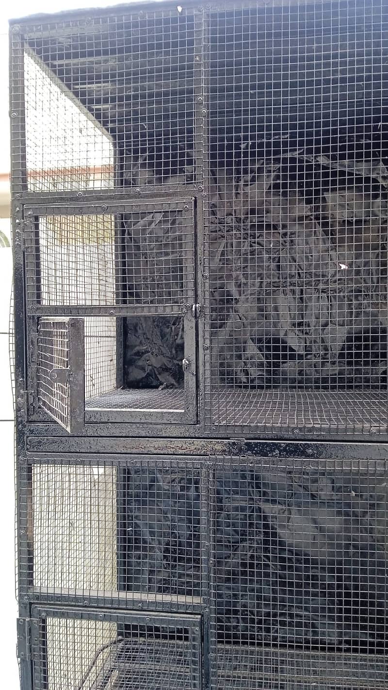 Big cage for ringneck rawparrot hens 1