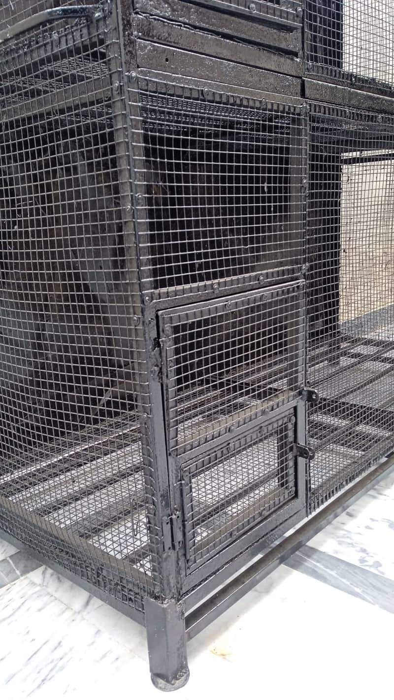 Big cage for ringneck rawparrot hens 2