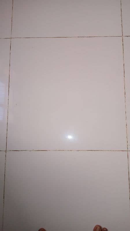 New 23 inch by 23 inch jali waly darwazy jodi or 2x2 white tiles 5