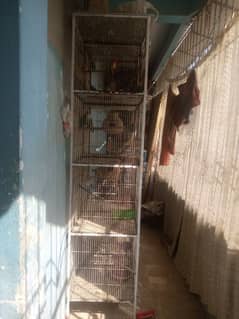 8 portion cage only cage sale